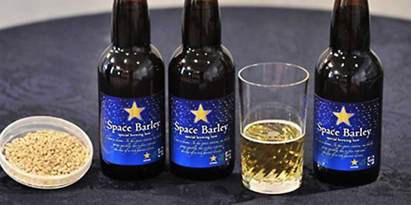 Cerveza Space Barley