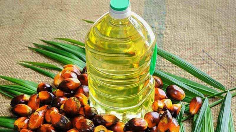botella de plástico con aceite sobre una hoja con semillas