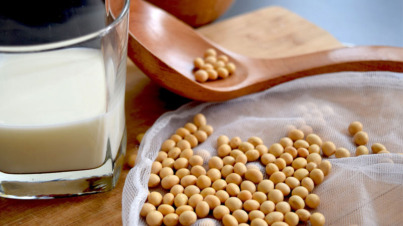 productos lácteos por soja