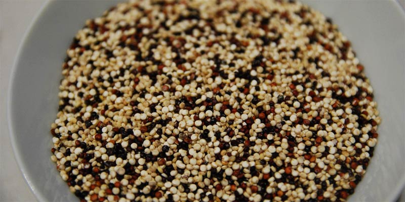 Plato de quinoa