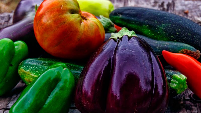 verduras juntas como tomate, pepino, pimiento y berenjena