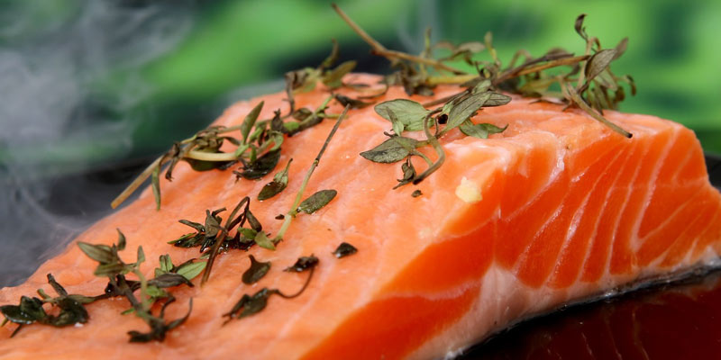alimentos prohibidos