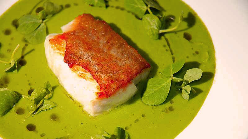 bacalao en medio de un círculo de salsa verde con hojas verdes