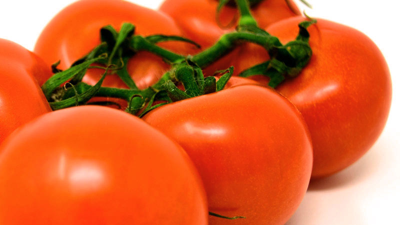 seis tomates en plato detalle y sobre un fondo blanco