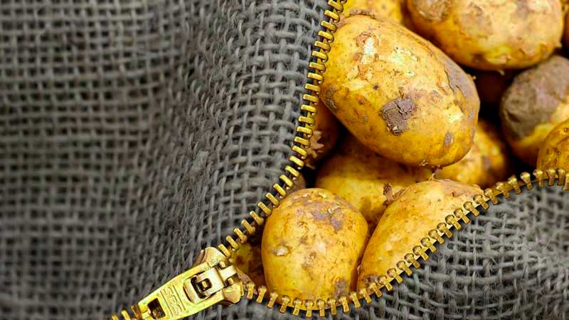 patatas con piel y tierra que están dentro de una bolsa gris con una cremallera dorada