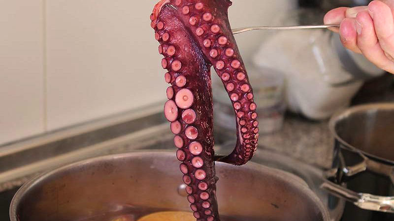 una mano sosteniendo unos tentáculos de pulpo encima de una olla metálica