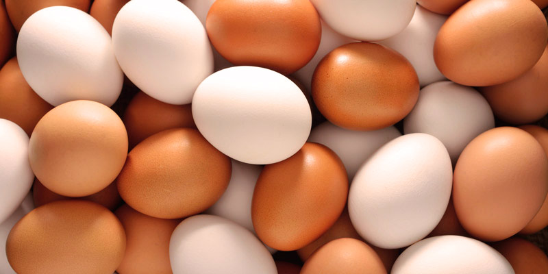 muchos huevos unos encima de otros, siendo unos blancos y los otros marrones