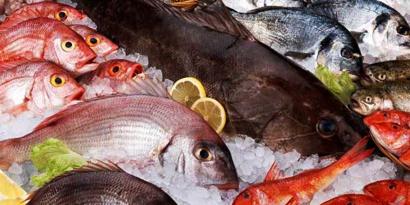 varios tipos de pescado sobre hielo
