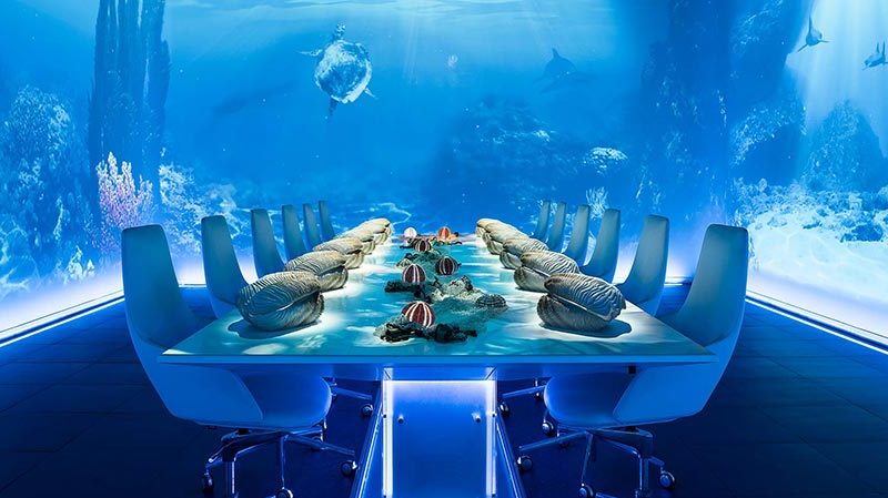 sublimotion de los restaurantes más caros del mundo sublimotion de los restaurantes más caros del mundo