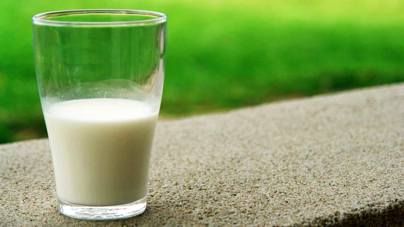 vasi de leche en un vaso de cristal con un fondo verde