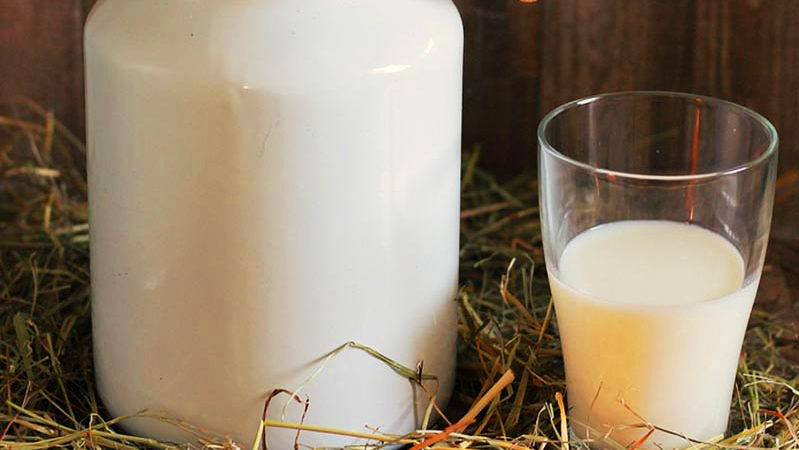vaso de leche y una jarra blanco sobre paja
