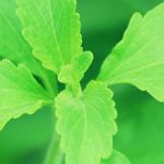 Lo que no sabías sobre la Estevia