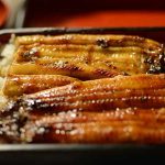 La anguila, un pescado sorprendente